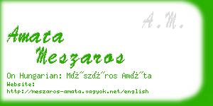 amata meszaros business card